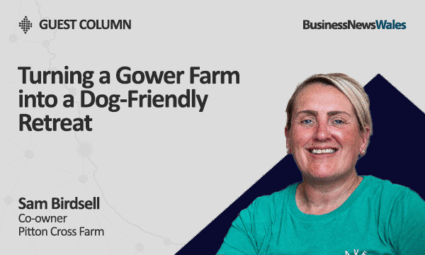 Turning a Gower Farm into a Dog Friendly Retreat