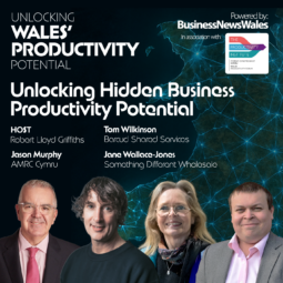 Unlocking Hidden Business Productivity Potential -ep2 WPP