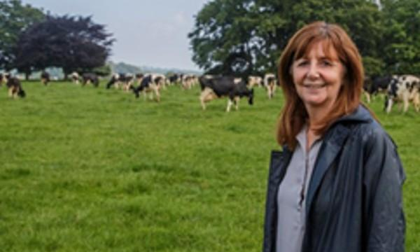 Historic First Welsh Agriculture Bill to Support Farmers into the Future