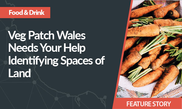 Veg Patch Wales Needs Your Help Identifying Spaces of Land