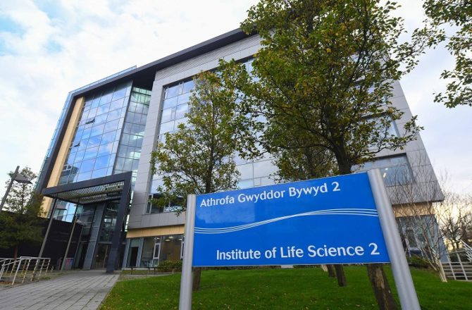 Swansea University Investigate if Seaweed Could Help Prevent Covid-19
