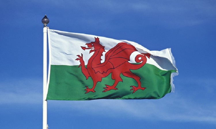 Cardiff Council Plans Growth of Welsh Language Through Education