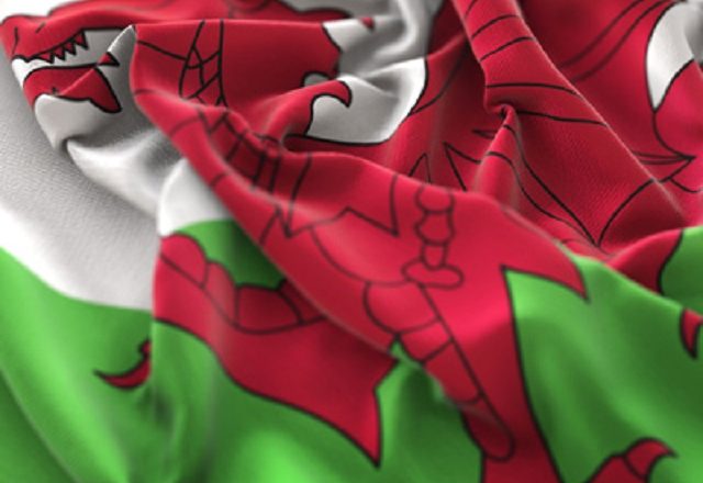 Support Available for Organisations Preparing to Comply with Welsh Language Standards