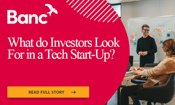 What do investors look for in a tech start-up