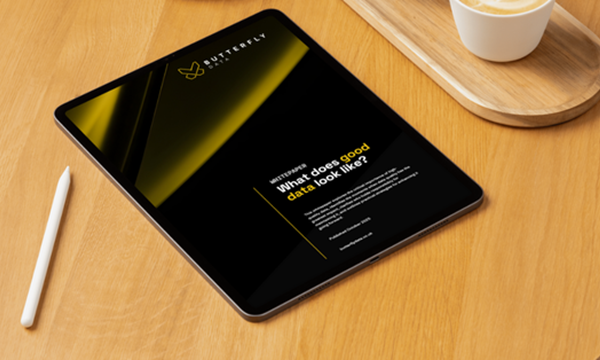 What does good data look like whitepaper - Image 1