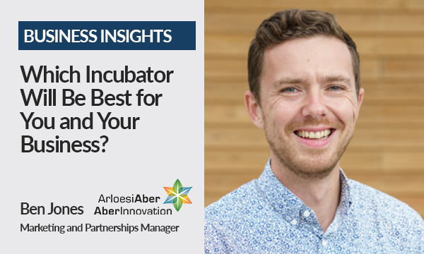 Which Incubator Will Be Best for You and Your Business?
