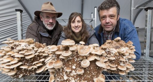 North Wales Mushroom Company Set for Rapid Expansion