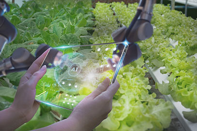 How AI is Transforming the Food & Drink Industry