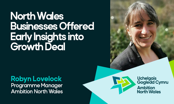 North Wales Businesses Offered Early Insights into Growth Deal