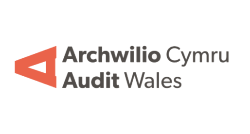 Audit Plays a Critical Role in the Public Sector Now More Than Ever