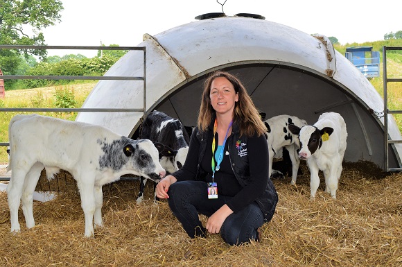 New Beef Farming Programme to Help Shape Future of the Sector in North Wales
