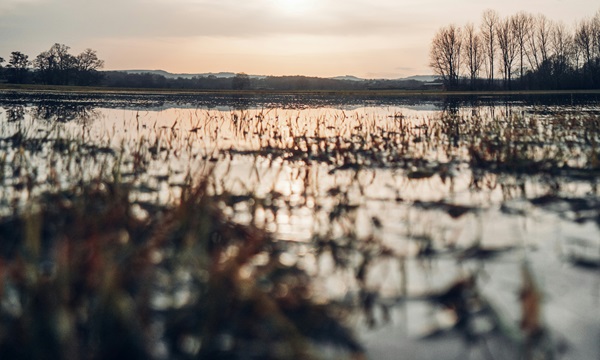 Plans Unveiled to Reduce Flooding Risk for Businesses in Upper Severn Valley