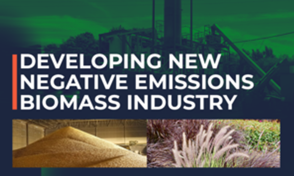 Government Seeks to Further Improve Diversity of Energy Supply by Boosting Biomass