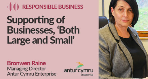 The Welsh Social Enterprise Supporting Businesses Large and Small