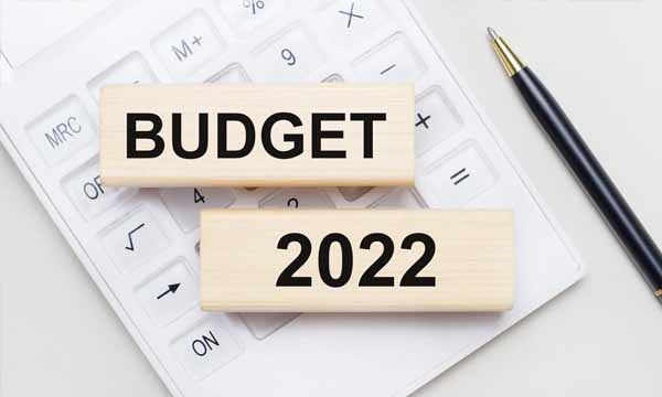 Snapshot Mini Budget Summary
