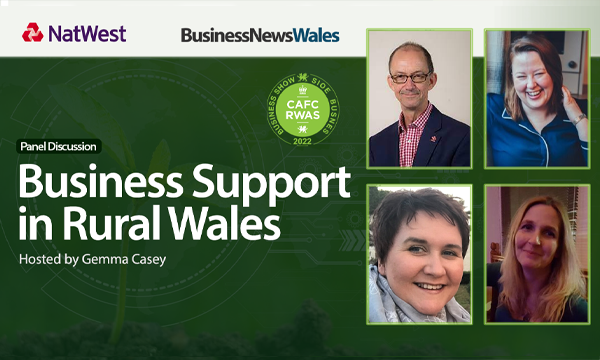 Business Support in Rural Wales
