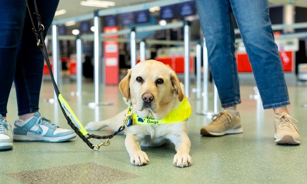 cardiff airport