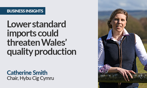 Lower Standard Imports Could Threaten Wales’ Quality Production Progress