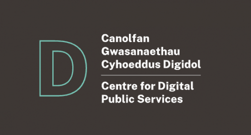 Centre for Digital Public Services Appoints Joint Chief Executive