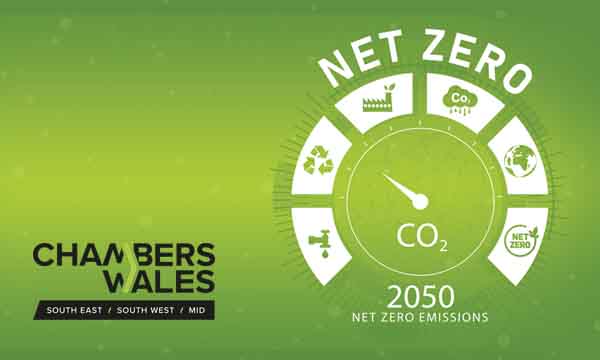 Research Reveals SME’s Don’t Understand what Net Zero by 2050 Means for Them