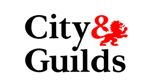 <strong>11th January – Cardiff-</strong><br>City & Guilds Construction Regional Network