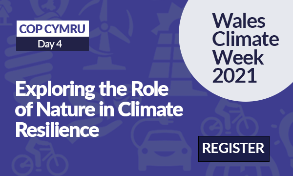 Exploring the Role of Nature in Climate Resilience