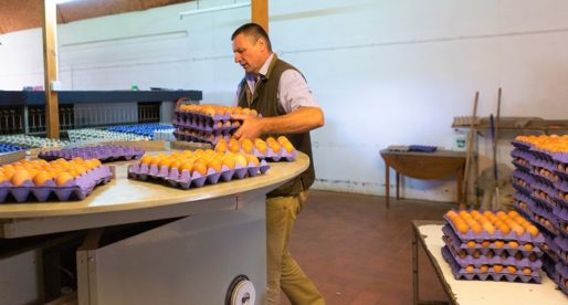 Demand for Eggs in Lockdown Led to Sales Boom for Welsh Farmer