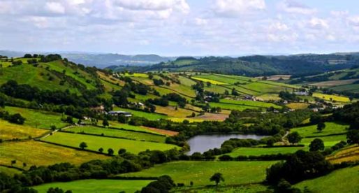 Long-term Sustainable Difference to Nature Recovery Across Powys