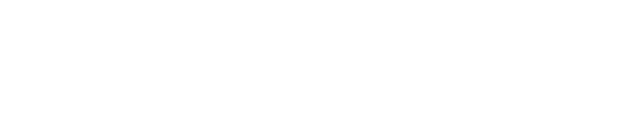 cyber security logo
