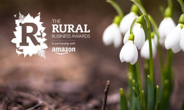 Four Welsh Companies Win National Business Award