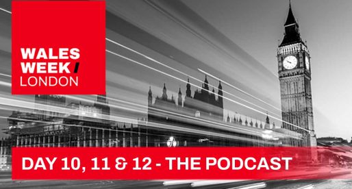 DAY 10, 11 and 12 – The Wales Week London Podcast