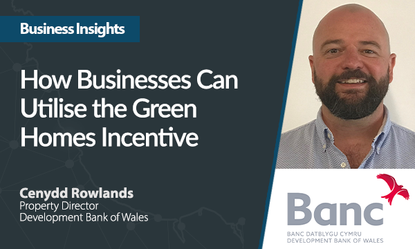 How Businesses Can Utilise the Green Homes Incentive