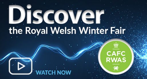 Discover – The Royal Welsh Winter Fair