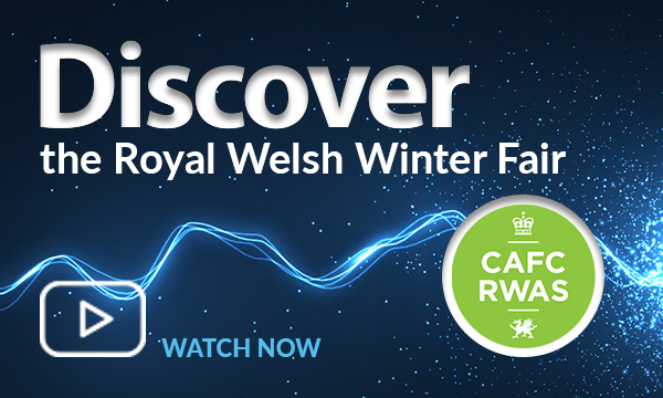 discover-the-royal-welsh-winter-fair-column-600x360