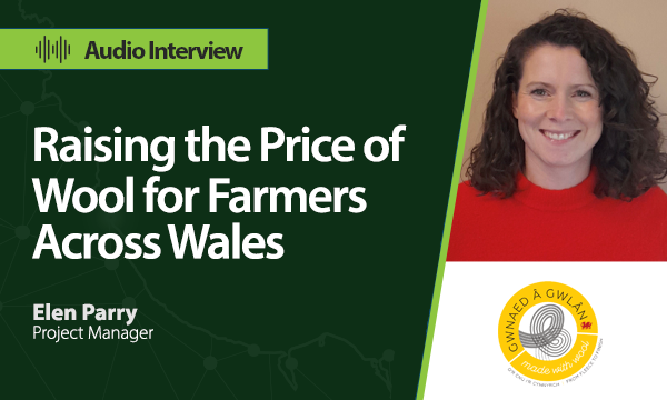 Raising the Price of Wool for Farmers Across Wales