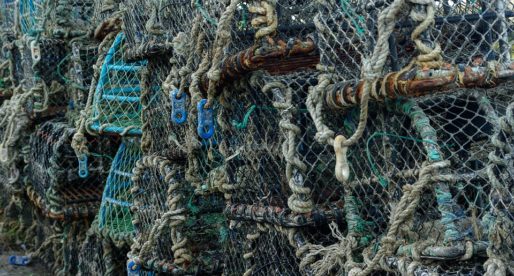 Views Sought On Pembrokeshire Fishing Strategy
