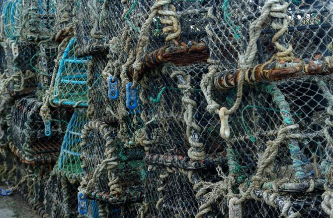 Annual Fisheries Negotiations Cut Cod Quota