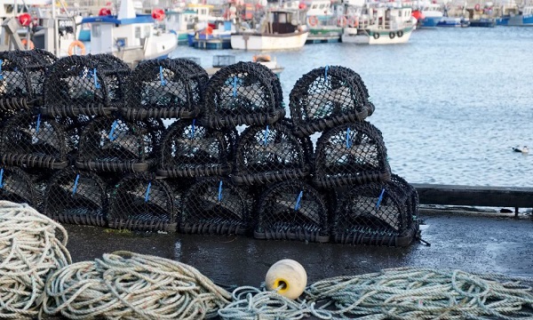 Fishing Industry Nets New Funding to Train the Next Generation