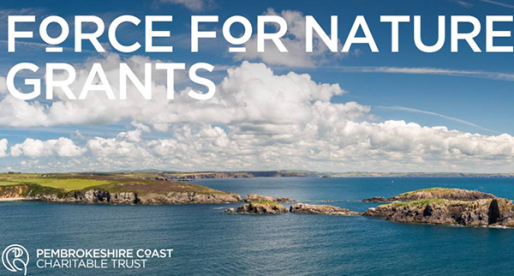 Become a Force for Nature with the Pembrokeshire Coast National Park Trust