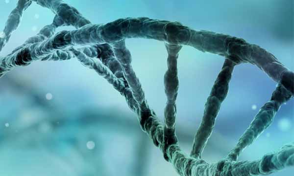 UK’s Leading Role in Shaping Regulation for Genetic Technologies