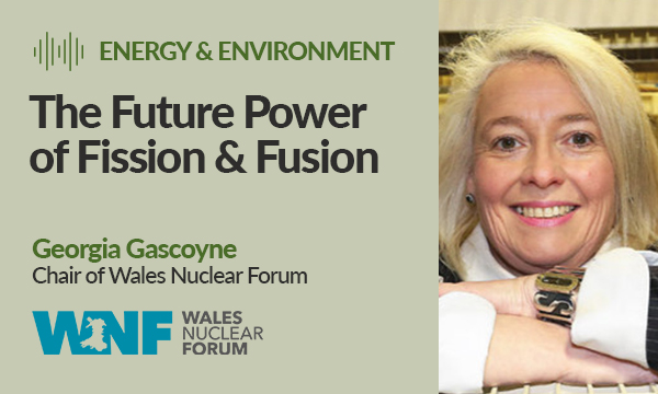 The Future Power of Fission & Fusion