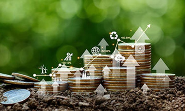 green investment sustainability 600