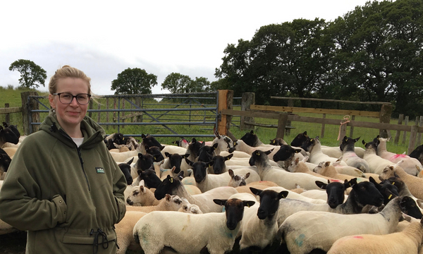 Pioneering Welsh Farms at the Forefront Antibiotic Resistance