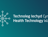 Health Technology Wales Guidance on Electronic Blood Management Systems for Blood Transfusions