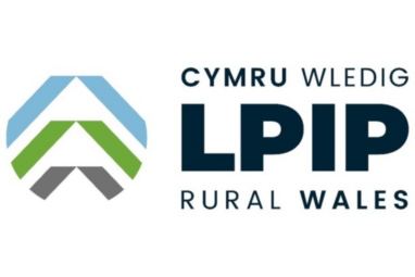 View of Rural Wales - Business News Wales