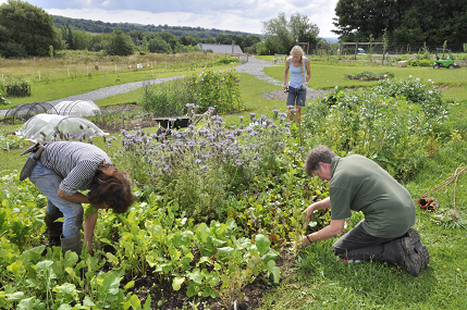 Growing the Future at the National Botanic Garden of Wales