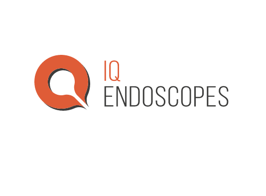 Chepstow Based IQ Endoscopes Completes £4m Funding Round