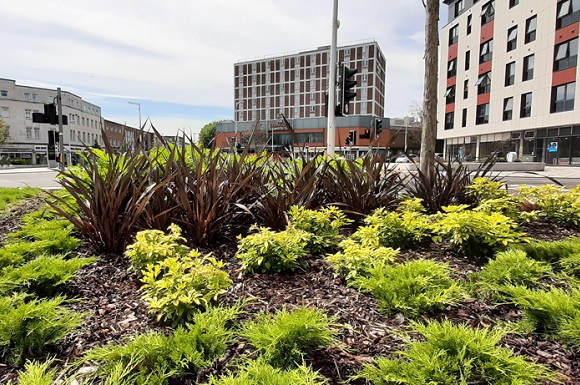 The Kingsway Goes Green as Swansea Points to the Future