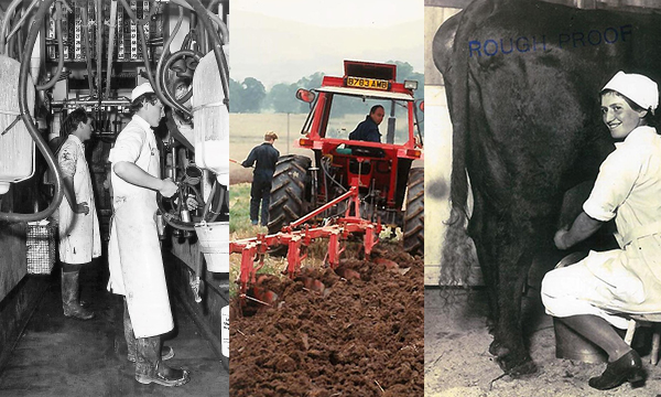 Welsh College Marking 100 Years at the Forefront of Education and Agriculture