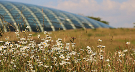 The National Botanic Garden of Wales Reopens